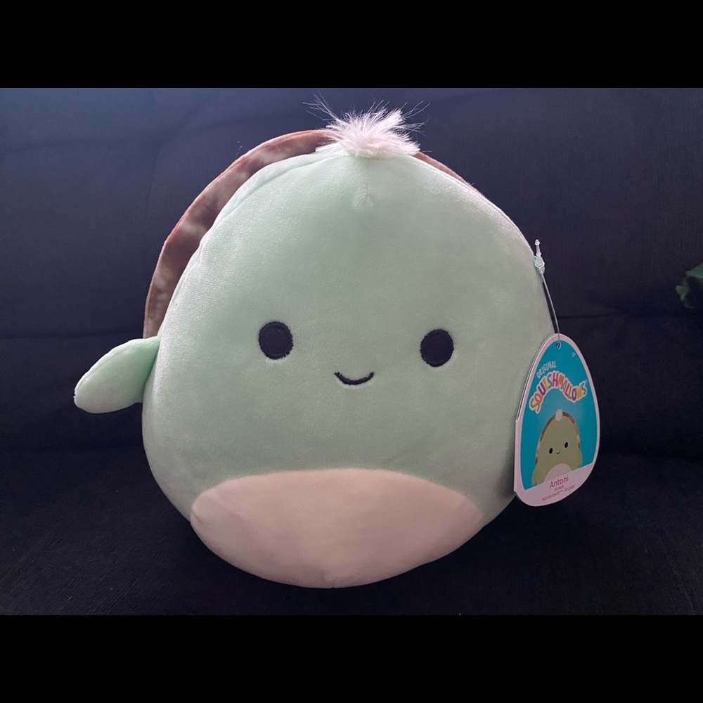 Antoni the Turtle 8INCH SQUISHMALLOW